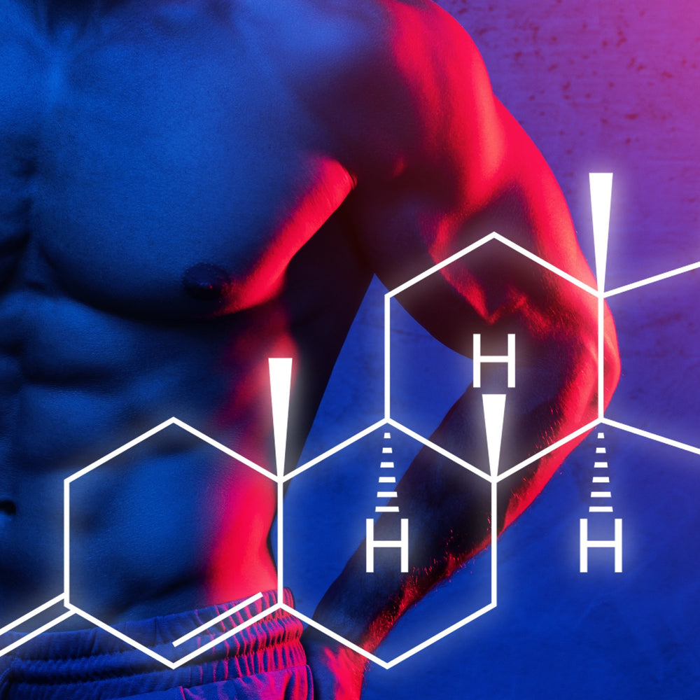 What is testosterone and why it is so important for men